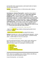 Konspekts 'Bezmugurkaulnieki', 17.