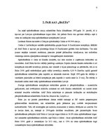 Prakses atskaite 'AAS "Balta"', 6.