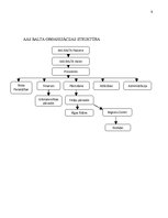 Prakses atskaite 'AAS "Balta"', 9.