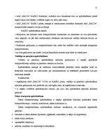 Prakses atskaite 'AAS "Balta"', 11.