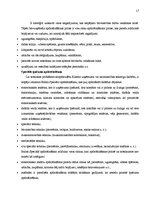 Prakses atskaite 'AAS "Balta"', 17.