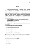 Referāts 'Pirmās darba dienas organizācija uzņēmumā', 3.