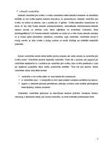 Referāts 'Jauniešu izpratne par vardarbību', 6.