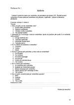 Referāts 'Jauniešu izpratne par vardarbību', 26.