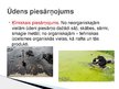 Prezentācija 'Vides piesārņojums', 4.