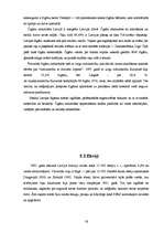 Referāts 'Kultūru daudzveidība Latvijā', 16.