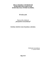 Eseja 'Patērētāju sabiedrība Latvijā. Ekspedīcija uz lielveikalu', 1.