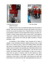 Eseja 'Patērētāju sabiedrība Latvijā. Ekspedīcija uz lielveikalu', 9.