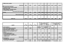 Paraugs 'SIA "Pētertāles" bilances horizontālā un vertikālā analīze', 2.