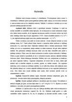 Referāts 'Gaiss un skābeklis', 4.