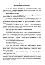 Konspekts 'Silvija Radzobe "Teātra režija pirmsrežijas laikmetā"', 1.