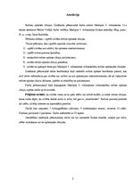 Referāts 'Redzes optiskās ilūzijas', 2.