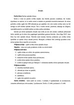 Referāts 'Redzes optiskās ilūzijas', 4.