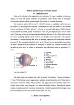 Referāts 'Redzes optiskās ilūzijas', 5.