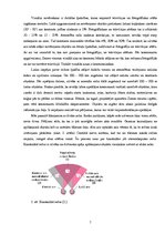 Referāts 'Redzes optiskās ilūzijas', 6.