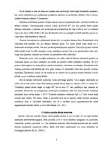 Referāts 'Redzes optiskās ilūzijas', 7.