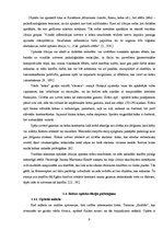 Referāts 'Redzes optiskās ilūzijas', 8.