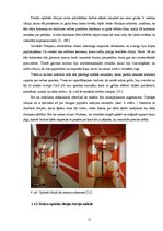 Referāts 'Redzes optiskās ilūzijas', 10.