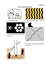 Referāts 'Redzes optiskās ilūzijas', 24.