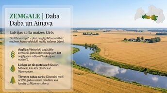 Prezentācija 'Latvijas reģioni', 5.