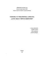Referāts 'Veselības un terapeitiskā animācija "Sapņu krāsu virpulī griežoties"', 1.