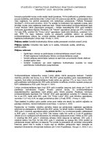 Biznesa plāns 'Jauna permanentu rotaslietu uzņēmuma konkurētspēja Latvijas tirgū', 2.