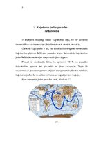 Referāts 'Jūras transports', 5.