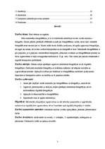 Referāts 'Foto vēsture un tagadne', 3.