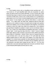 Referāts 'Foto vēsture un tagadne', 9.