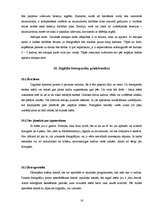 Referāts 'Foto vēsture un tagadne', 16.