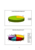 Referāts 'Foto vēsture un tagadne', 22.