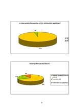 Referāts 'Foto vēsture un tagadne', 23.