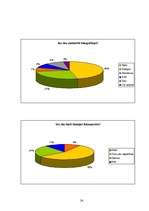 Referāts 'Foto vēsture un tagadne', 24.