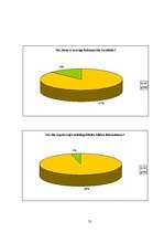 Referāts 'Foto vēsture un tagadne', 25.