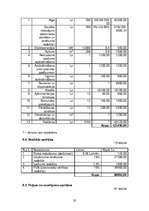 Biznesa plāns 'SIA "Dhanvantari"', 20.