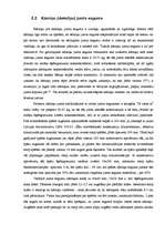 Referāts 'Jumta segumi', 9.