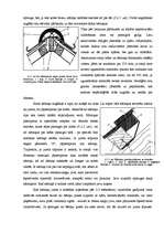 Referāts 'Jumta segumi', 10.