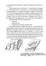 Referāts 'Jumta segumi', 12.