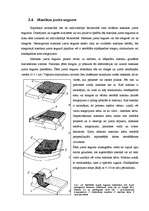 Referāts 'Jumta segumi', 13.