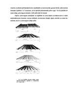 Referāts 'Jumta segumi', 16.