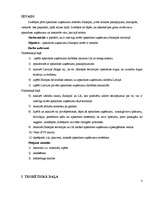 Referāts 'Apsardzes uzņēmuma atvēršana Salaspils teritorijā', 3.