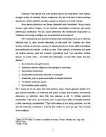 Referāts 'Zibenskarš', 2.