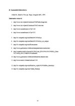 Referāts 'Ideoloģija', 16.