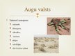 Prezentācija 'Smilšu tuksneši', 5.