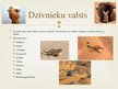 Prezentācija 'Smilšu tuksneši', 6.