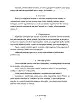 Referāts 'Kristāli un kristālu audzēšana', 12.