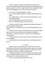 Referāts 'Kristāli un kristālu audzēšana', 13.