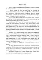 Eseja 'Mākslas tēls', 1.