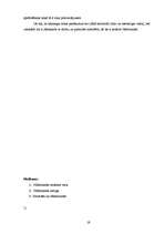 Referāts 'Nīderlandes ģeogrāfiski ekonomiskais raksturojums', 19.