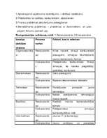 Referāts 'Uzņēmuma reorganizācija', 6.